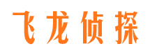 元坝婚外情调查取证